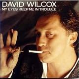My Eyes Keep Me In Troubleby David Wilcox