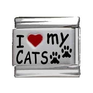 Clearly Charming I Heart My Cats Red Heart Laser Italian Charm
