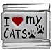 I Heart My Cats Red Heart Laser Italian Charm