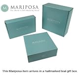 Mariposa Witch Hat Napkin Weight
