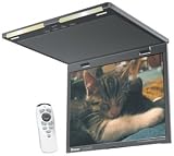 POWER ACOUSTIK 14.1 Overhead Amorphous Active Matrix TFT/LCD w/TV Tuner (POWER ACOUSTIK PT143CMT)