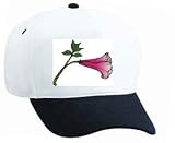 White Cap with plant, United States, flora, flower, Northwest, leaves, botanical 3143RUGTrrL. SL160 White Cap with plant, United States, flora, flower, Northwest, leaves, botanical