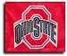 Ohio State - NCAA Car Flags