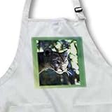 Florida Green Eyed Panther - Waist Apron With Pockets