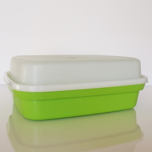 Tupperware Large Season Serve Container Lime