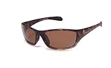 Coyote P-29 Polarized Sunglasses - Tortoise / Brown