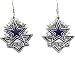 Dallas Cowboys Dangle Earrings - NFL Football Fan Shop Sports Team Merchandise