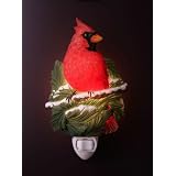 Red Cardinal on Pine Night Light Ibis and Orchid Collection