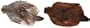 Hungarian Partridge Whole Skins Color: Natural