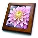 Pink Dahlia Flower- Floral Art - 8x8 Framed Tile