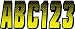Hardline Series 300 Carbon Fiber Number Registration Kit Yellow/Black