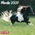 2009 Horses 30x30 Calendar