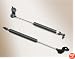 92 93 94 95 96 Lexus ES300 Hood Support Strut Shock Pair 1992 1993 1994 1995 1996