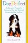 DogSmart: The Ultimate Guide for Finding the Dog You Want and Keeping the Dog You Find