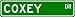 COXEY Street Sign ~ Personalized Family Lastname Sign ~ Gameroom, Basement, Garage Sign Novelty** ALUMINUM