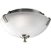 Progress Lighting P3290-09 2-Light Close-To-Ceiling Fixture, Brushed Nickel
