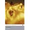 James Bond by Ian Fleming: Modern Classics