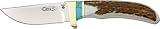 Buck Bel Air Gen-5 Skinner, Turquoise/Elk Handle, Plain