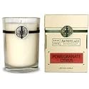 Archipelago Botanicals POMEGRANATE CITRUS CANDLE 60 Hour Aromatherapy Home Fragrance Signature Series All Natural Hand Poured Premium Soy Wax Jar Candle W/ Deluxe Gift Box