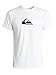 Quiksilver Men's Everyday Logo T-Shirt, White/Black, Large