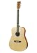Kansas K-VERSA Acoustic Guitar, Natural