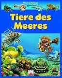 Tiere des Meeres - Bernard Alunni