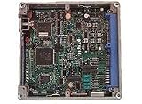 Jim Wolf (E2401-NAC00 240SX) Engine Control Units Performance Chips - AT/CAL