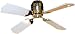 Trusty Products 70058WW 36 Ceiling Fan with Remote Control