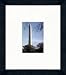 Washington Monument 14 x 16 Framed Photograph (NP10A-2E9)