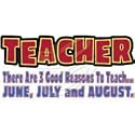 3 Good Reasons To Teach Adult T-Shirt