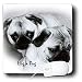 pug48  - Dogs Pug Hug a Pug Puppies Mouse Pads
