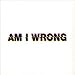 Am I Wrong [Single,Import]
