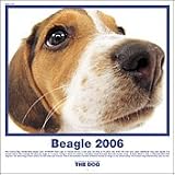 HCL-723 THE DOGビーグルカレンダー2006