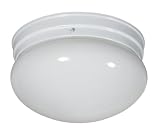 Yosemite Home Decor 2002-6WH Leslie 1-Light 7-1/2-Inch Ceiling Flush Mount, White Frame