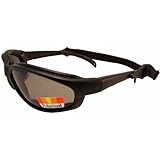 Freedom Ski Snowboard Polarized Foam Padded Sunglasses Glasses