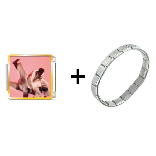 Martial Art Italian Charm Bracelet