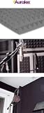 Auralex 2PYR24CHA 2 Studiofoam Pyramid Panels in Charcoal 12-2′x4′x2 Panels