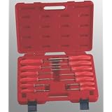 Buy 13 Piece Star Screwdriver Set Torx Screwdriver Set by Genius Tool