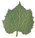 GIGA EMBOSS PUNCH BIRCH LEAF