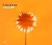 Musik (Pop) : Yellow [UK-Import]