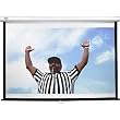 Manual Pull Down Screen 76 In Diag White 16X9 HDtv format