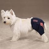 Medium Nautical Sport Shorts Cotton Dog Swim Trunks