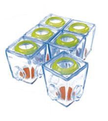 Childrens Toyshop  Toys : Brother Max 6 Small Food Portioners