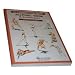 ALLPOSE Book B_Dynamic