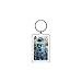 Red Hot Chili Peppers - Painting Keychain