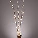 Gerson 36853 39-Inch 48 Lights Electric Pussy Willow Lighted Branch