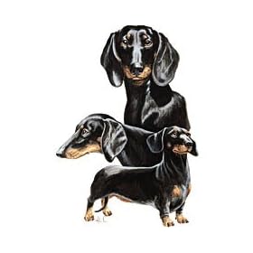 Dachshunds T-Shirts