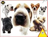 Hanadeka Dog - Dog Puzzle 100 Pieces - Beagle, Scottie, Chihuahua, Dachshund and Dalmatian