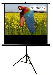 Celexon Stativleinwand Economy 219 x 123 cm