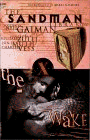 The Sandman: The Wake - Book X